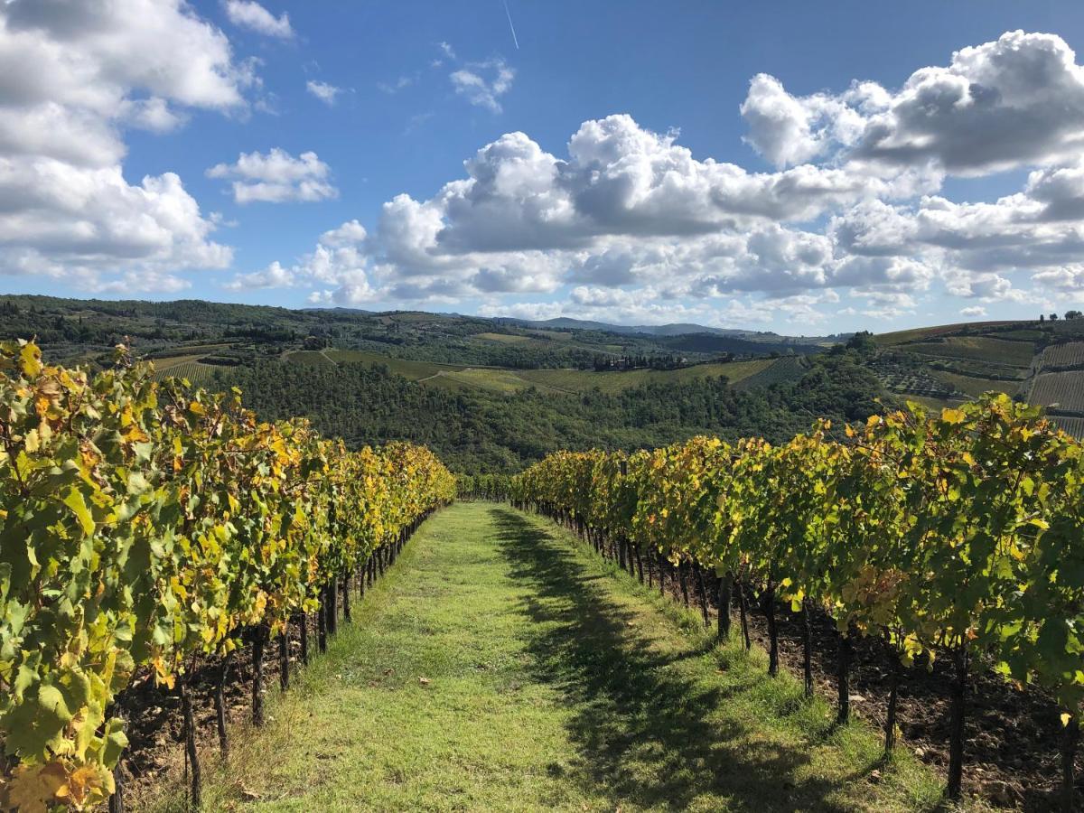 Fattoria Di Rignana Winery Bnb Греве-ин-Кьянти Экстерьер фото