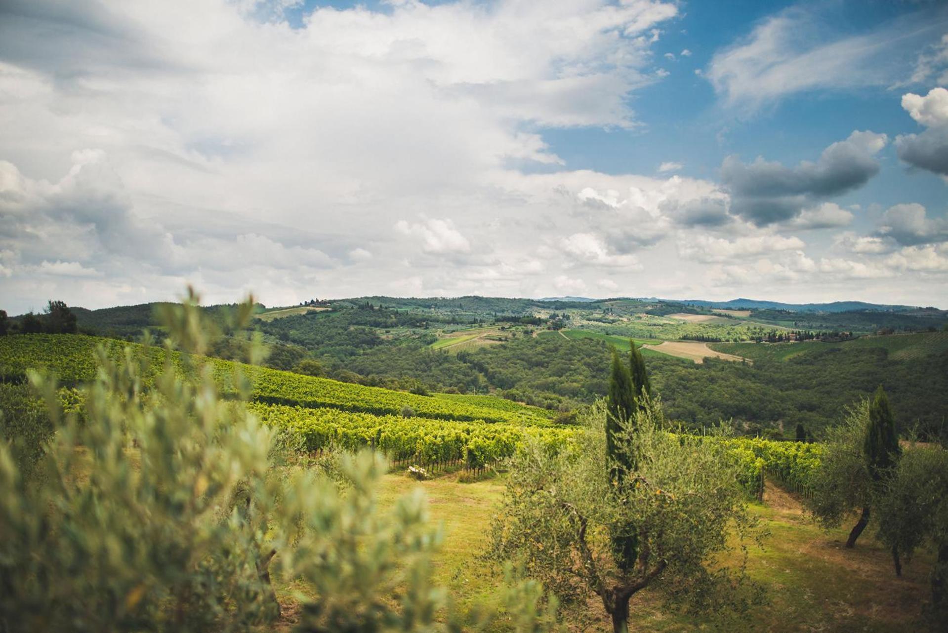 Fattoria Di Rignana Winery Bnb Греве-ин-Кьянти Экстерьер фото