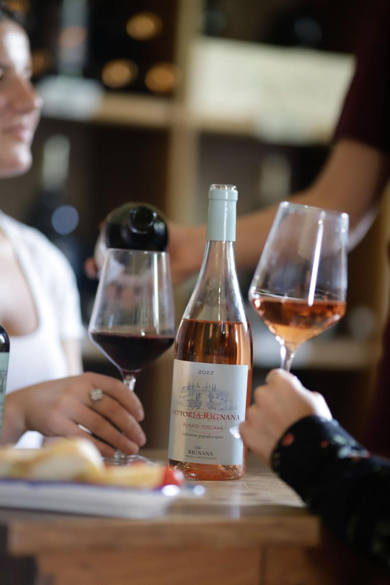 Fattoria Di Rignana Winery Bnb Греве-ин-Кьянти Экстерьер фото